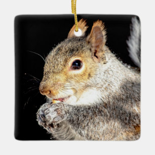 Eichhörnchen beim Nussessen Keramikornament