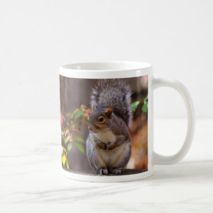 Eichhörnchen bettelt geduldig um Kaffeetasse