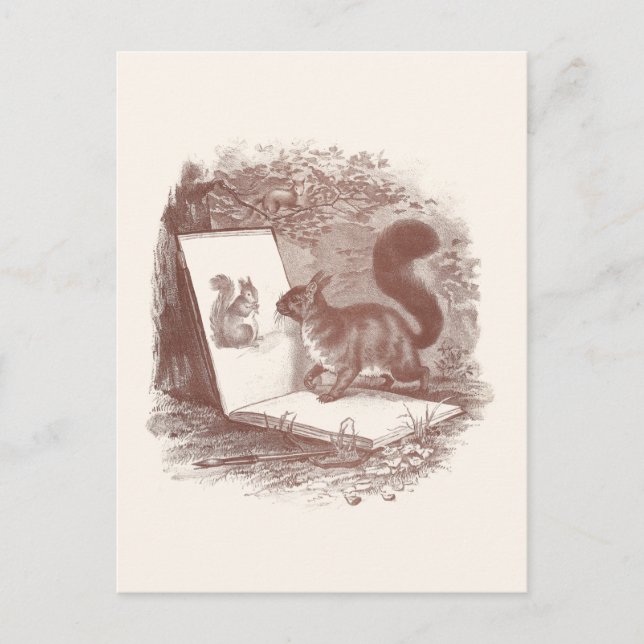 Eichhörnchen bewundert die Skizze des Selbst Postkarte (Vorderseite)