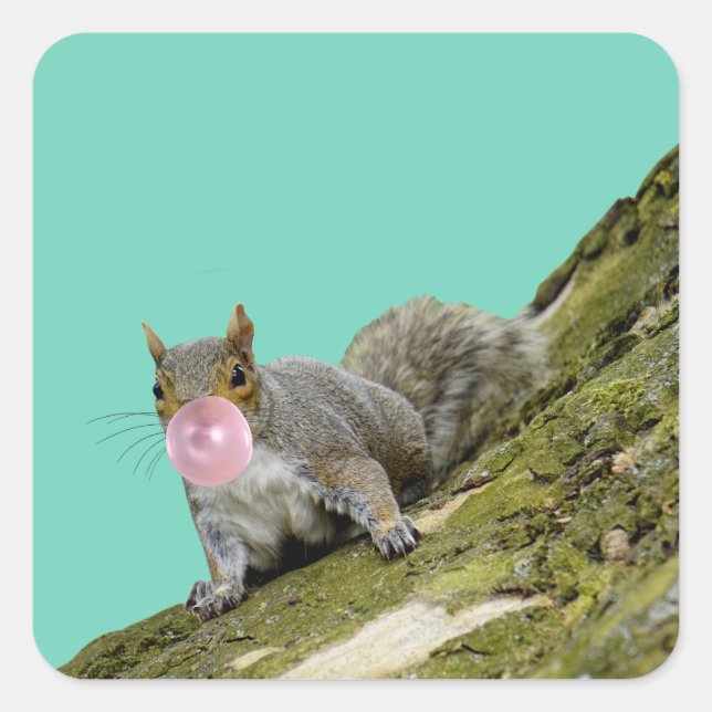 Eichhörnchen bläst Bubblegum Blase Animal Foto Quadratischer Aufkleber (Vorderseite)