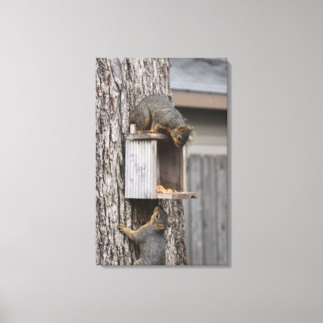 Eichhörnchen Canvas Print Leinwanddruck (Vorderseite)