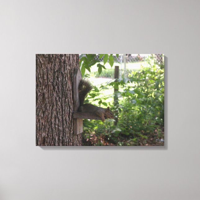 Eichhörnchen Canvas Print Leinwanddruck (Vorderseite)