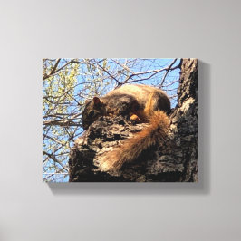 Eichhörnchen Canvas Print Leinwanddruck