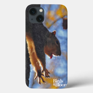 Eichhörnchen Case-Mate iPhone Hülle