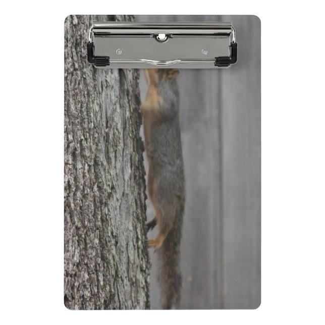 Eichhörnchen Clipboard Mini Klemmbrett (Vorderseite)