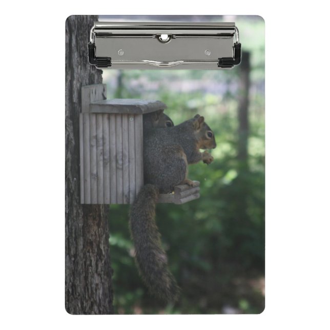 Eichhörnchen Clipboard Mini Klemmbrett (Vorderseite)
