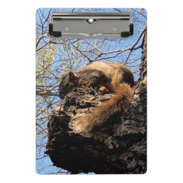 Eichhörnchen Clipboard Mini Klemmbrett