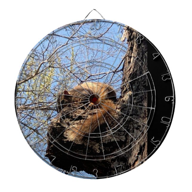 Eichhörnchen Dartboard Dartscheibe (vorne)