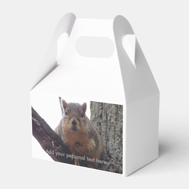 Eichhörnchen, das auf deine Geschenkboxen schaut Geschenkschachtel (Rückseite)