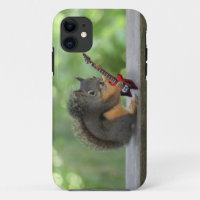 Eichhörnchen, das E-Gitarre spielt