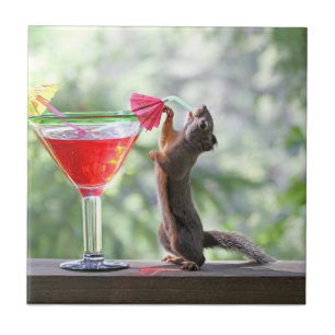 Eichhörnchen, das ein Cocktail an der glückliche Fliese