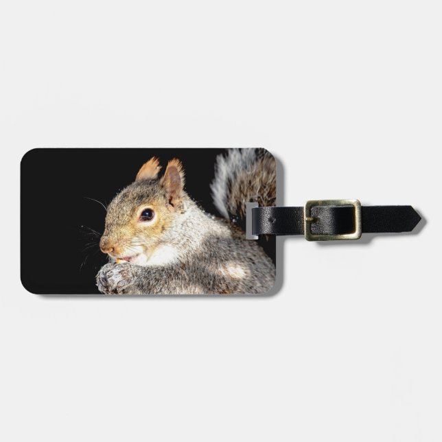 Eichhörnchen, das eine Nuss isst Gepäckanhänger (Vorderseite horizontal)