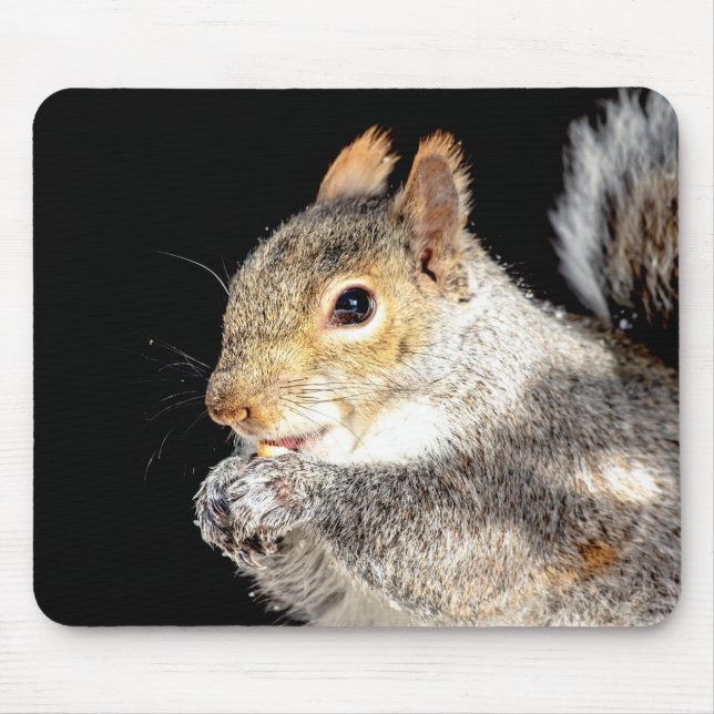 Eichhörnchen, das eine Nuss isst Mousepad (Vorne)