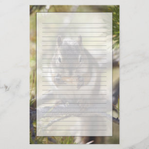 Eichhörnchen, das einen Kiefernkegel isst Briefpapier