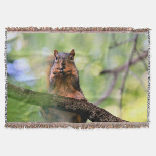 Eichhörnchen Decke