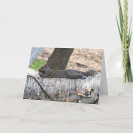 Eichhörnchen der Blank-Grußkarte Karte