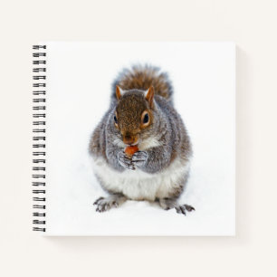 Eichhörnchen, der eine Nut isst Notizbuch