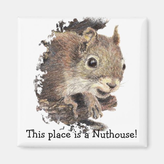 Eichhörnchen Dieser Ort ist ein Nuthouse! Spaß Magnet (Vorne)