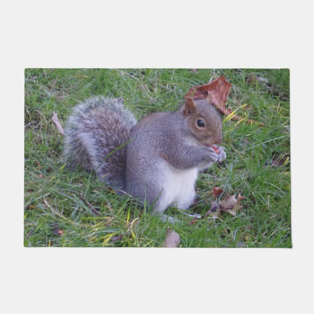 Eichhörnchen Door Mat Fußmatte (Vorderseite)
