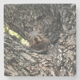 Eichhörnchen Drink Untersetzer