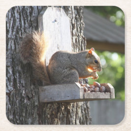 Eichhörnchen Drink Untersetzer