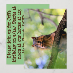 Eichhörnchen Einladung