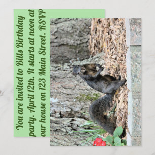 Eichhörnchen Einladung