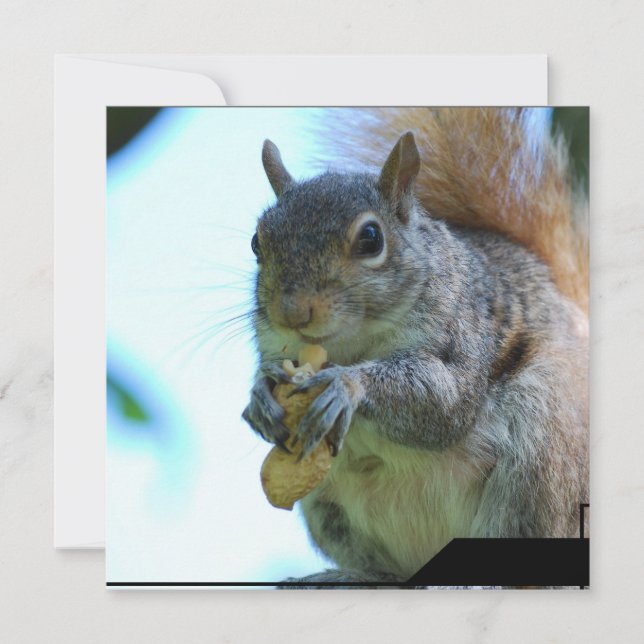 Eichhörnchen Einladung (Vorderseite)