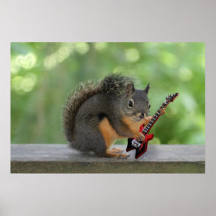 Eichhörnchen, Elektrische Gitarre spielen Poster