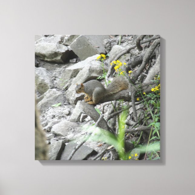Eichhörnchen entlang einer Bachbank Leinwanddruck (Vorderseite)