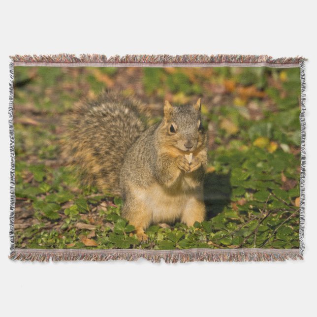 Eichhörnchen, Erdnuss, Kristallspinge Decke (Vorderseite)