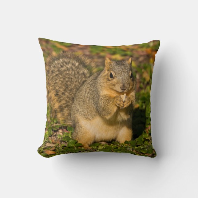 Eichhörnchen, Erdnuss, Kristallspinge Kissen (Vorderseite)