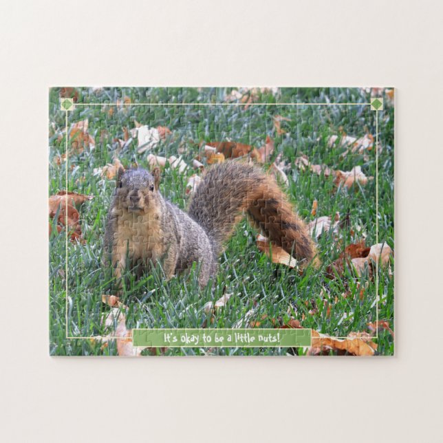 Eichhörnchen "Es ist ok, ein wenig verrückt zu sei (Horizontal)
