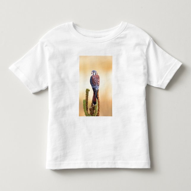 Eichhörnchen, Falco sparverius, Ureinwohner der US Kleinkind T-shirt (Vorderseite)