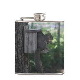 Eichhörnchen Flachmann