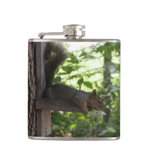 Eichhörnchen Flachmann