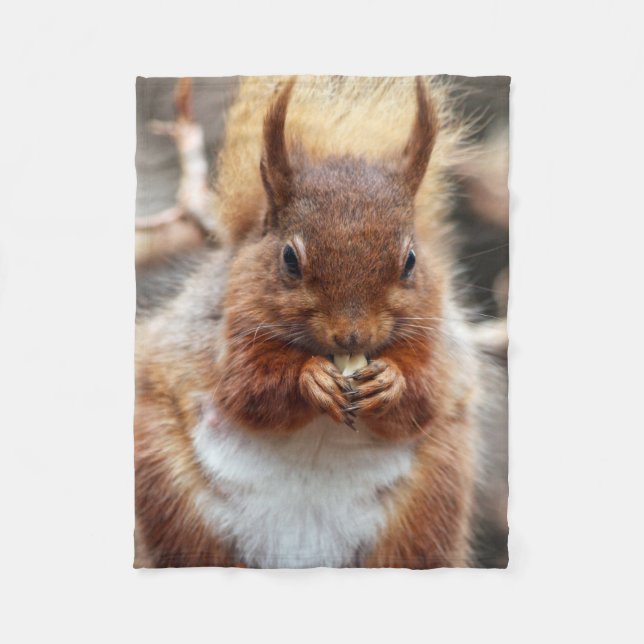 Eichhörnchen Fleecedecke (Vorderseite)