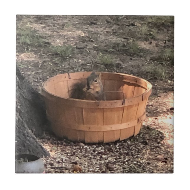 Eichhörnchen Fliese (Vorderseite)