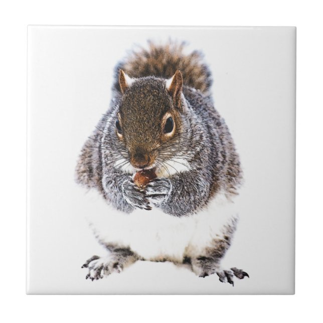Eichhörnchen Fliese (Vorderseite)