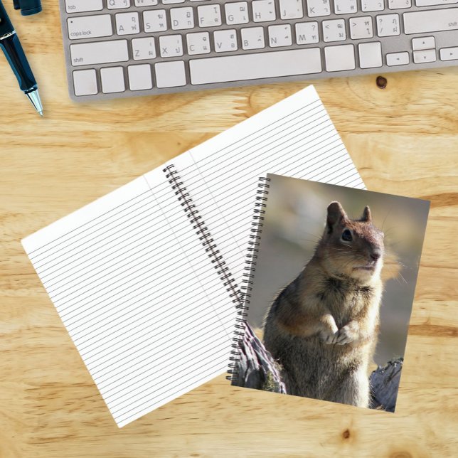 Eichhörnchen-Foto Notizbuch (In Situ)