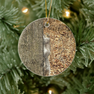 Eichhörnchen-Foto-Ornament Keramik Ornament