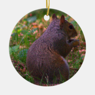 Eichhörnchen Foto Weihnachtsschmuck