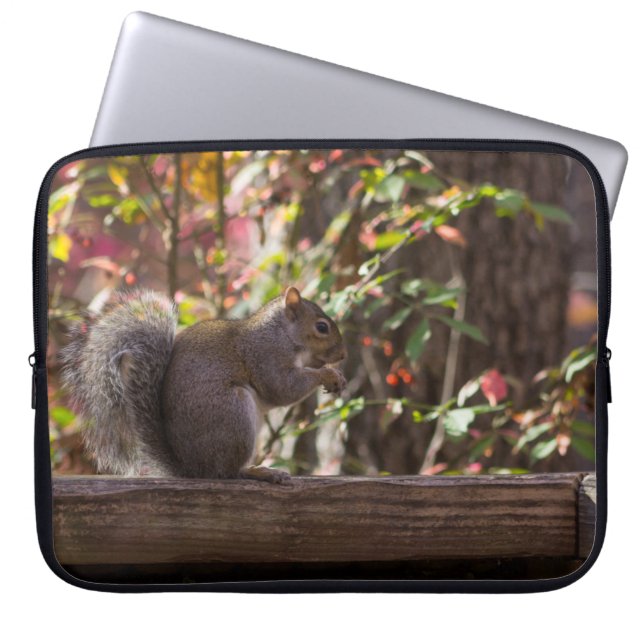 Eichhörnchen-Fütterungszeit Laptopschutzhülle (Vorderseite)