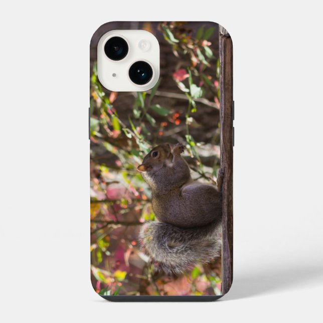 Eichhörnchen-Futterzeit iPhone-Hülle iPhone 14 Hülle (Rückseite)
