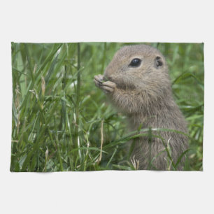 Eichhörnchen Geschirrtuch