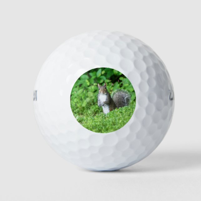 Eichhörnchen Golfball (Vorderseite)