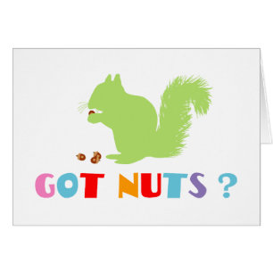 Eichhörnchen Got Nüsse?