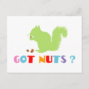Eichhörnchen Got Nüsse? Postkarte