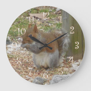 Eichhörnchen Große Wanduhr