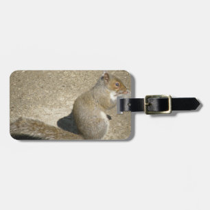 Eichhörnchen Hungry Horatio Custom Luggage Tag Gepäckanhänger